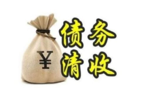 收债公司繁华都市背后的隐秘行业，揭秘其起源与发展